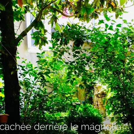 Maison Centre Historique Le Preau Saint Jacques