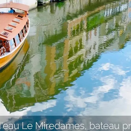 Maison Centre Historique Le Preau Saint Jacques * كاسْتْرْ