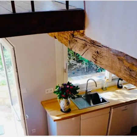 Gasthuis Maison Centre Historique Le Preau Saint Jacques Castres (Tarn)