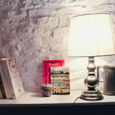 Gasthuis Maison Centre Historique Le Preau Saint Jacques *